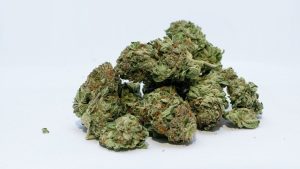 Comment trouver des graines de cannabis de collection ?
